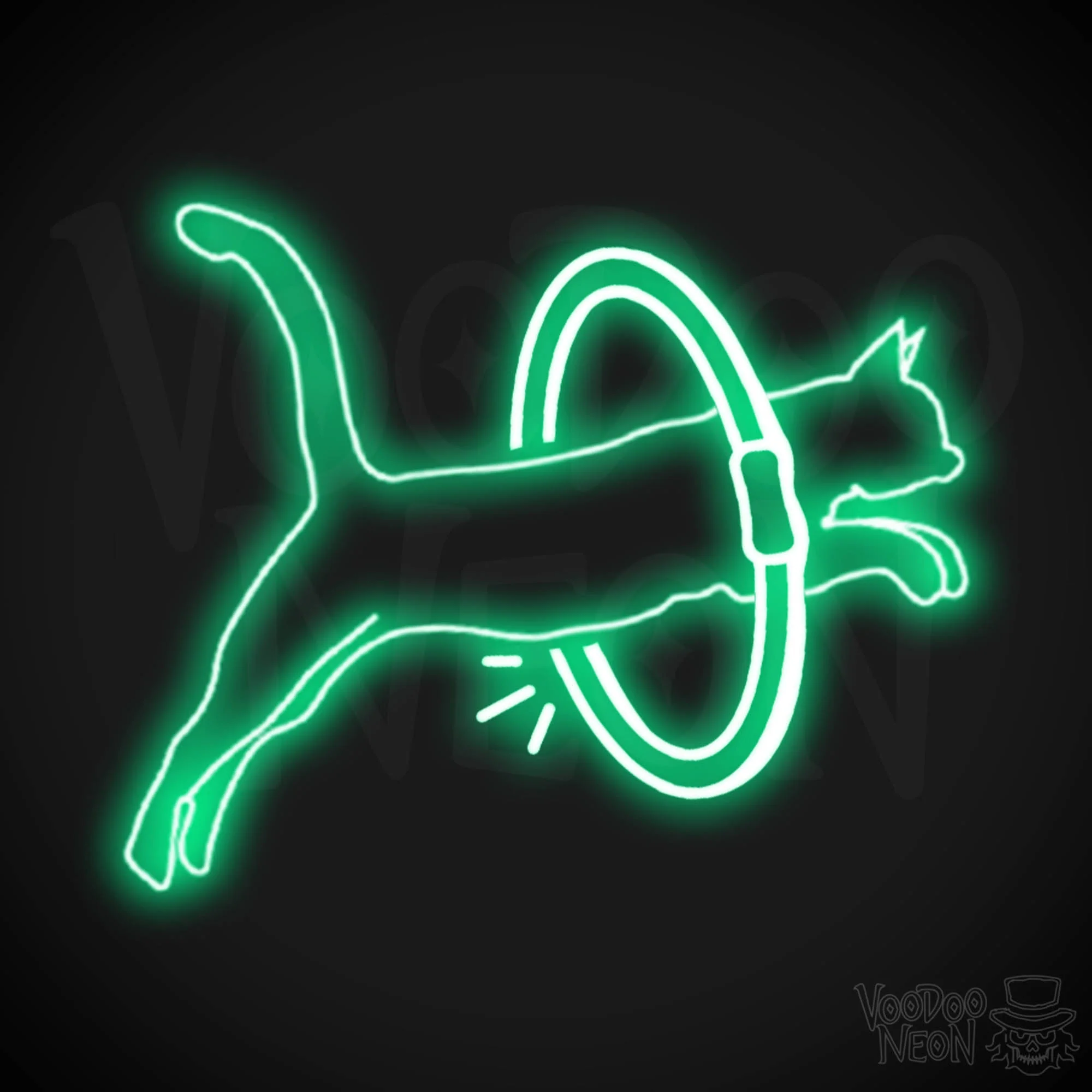 Cat Jumping - Image 13