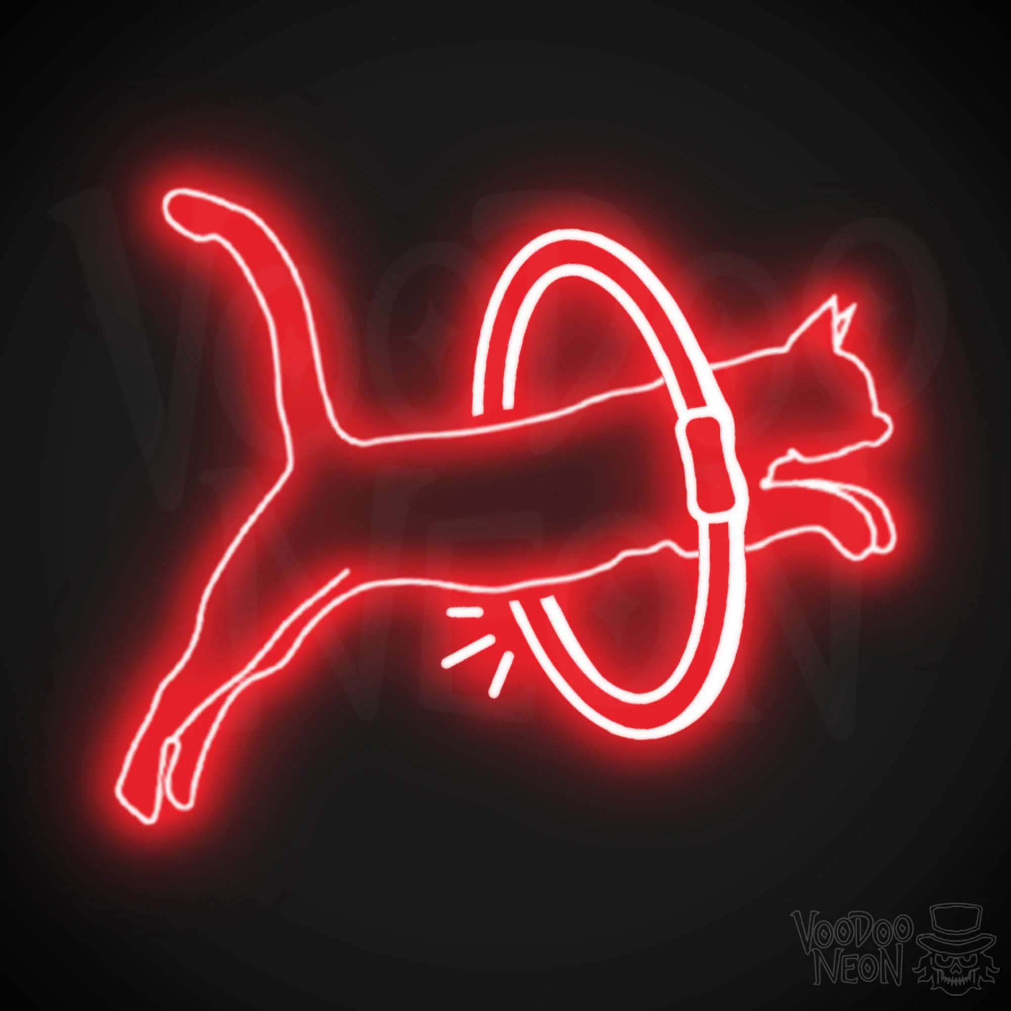 Cat Jumping - Image 6