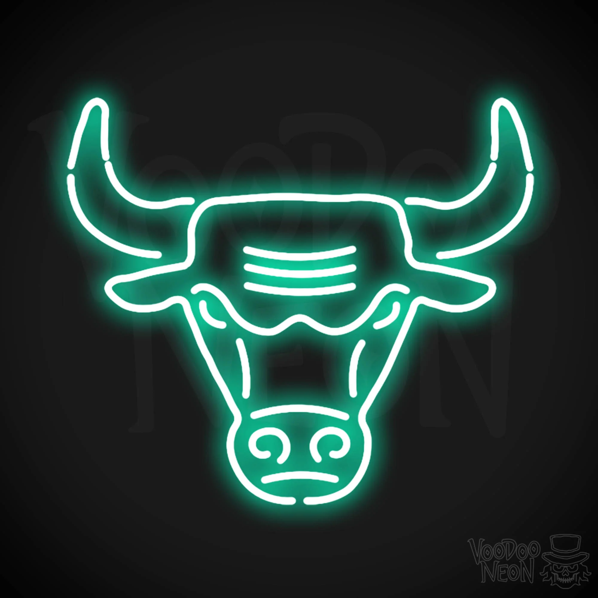 Chicago Bulls - Image 12