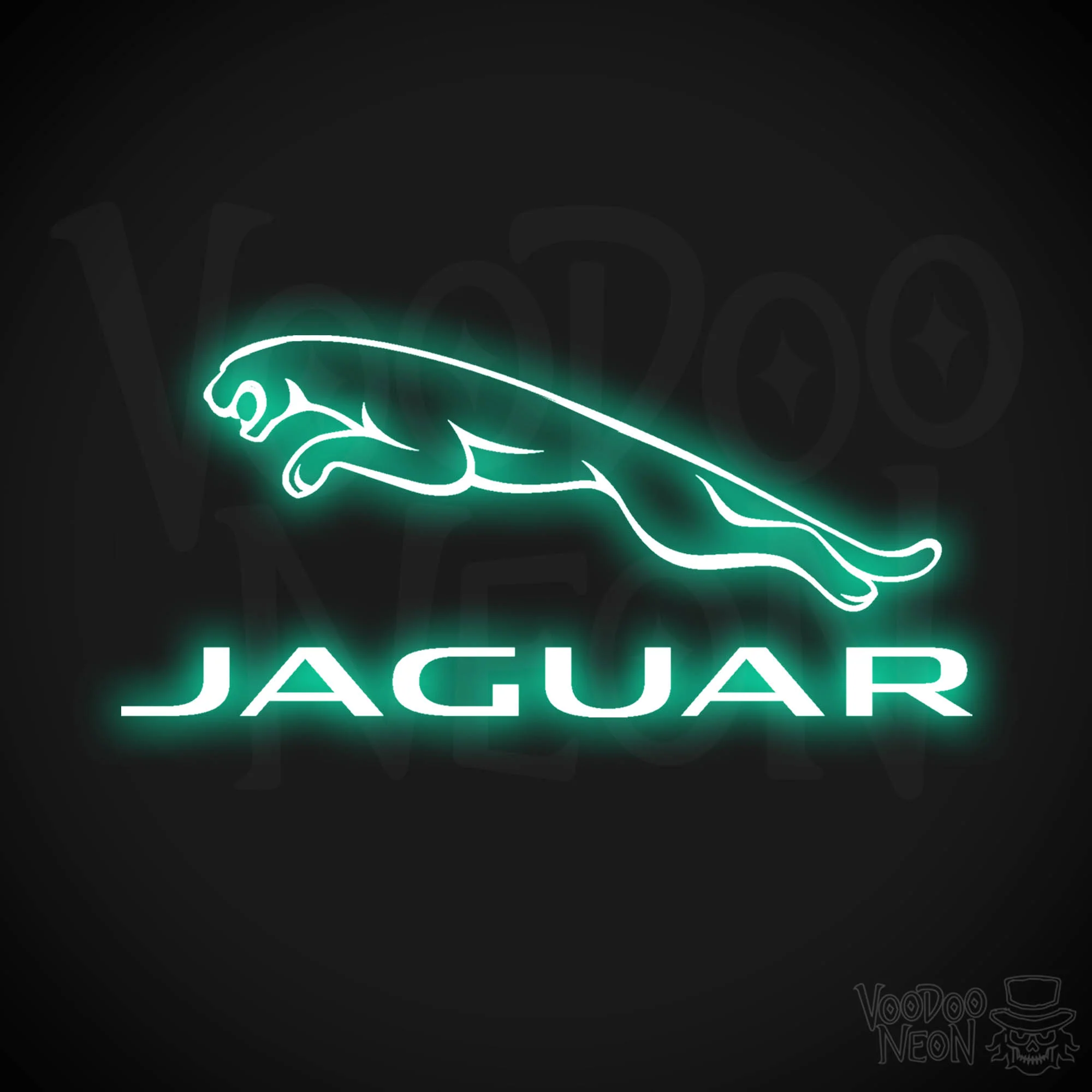 Jaguar - Image 12