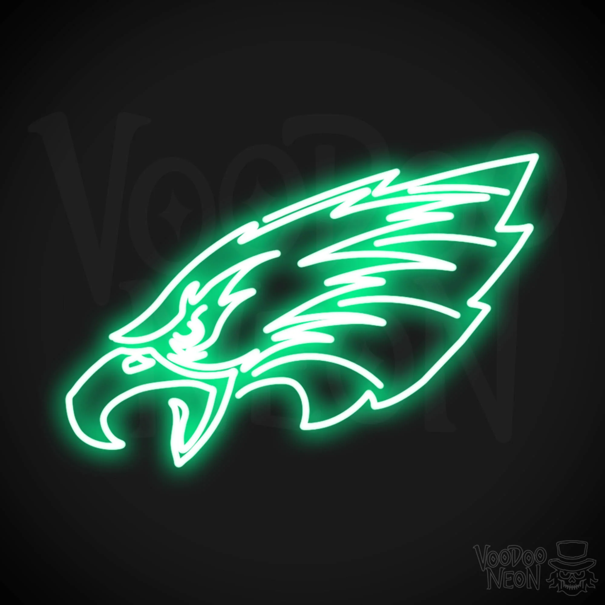 Philadelphia Eagles - Image 13